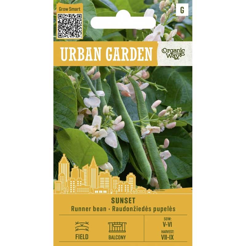 Klätterböna ’Sunset’