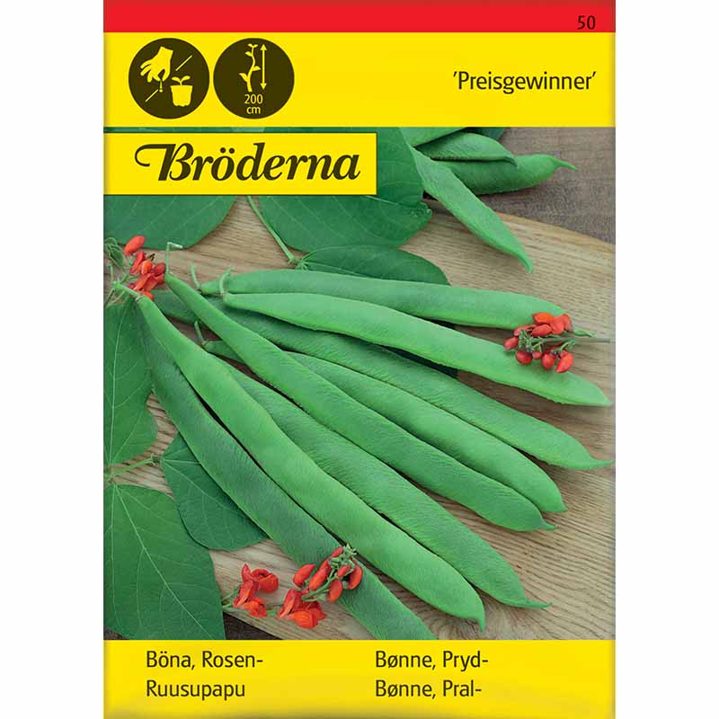 Blomsterböna 'Preisgewinner'