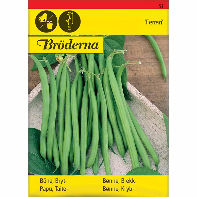 Böna 'Ferrari'