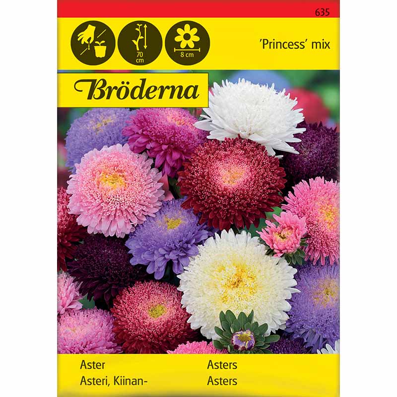 Aster 'Princess' Mix