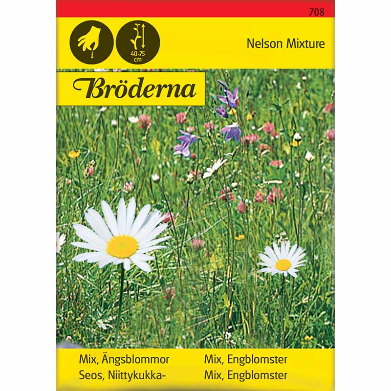 Ängsblommor mix