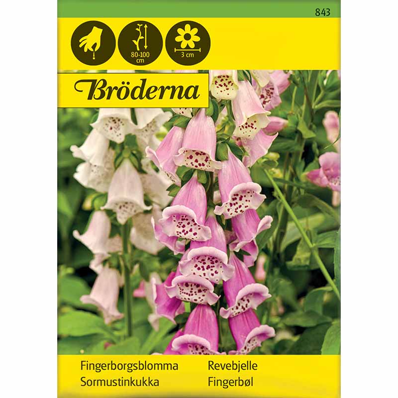 Fingerborgsblomma Mix