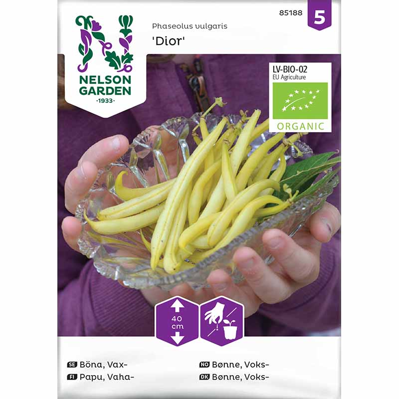 Vaxböna 'Dior' organic