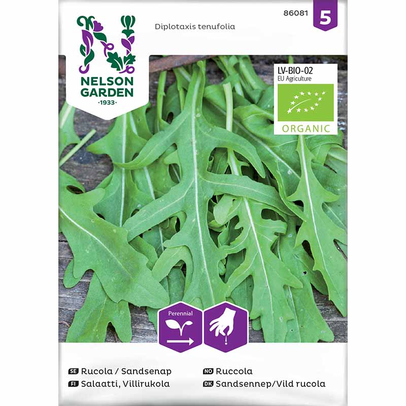 Rucola / Sandsenap Organic