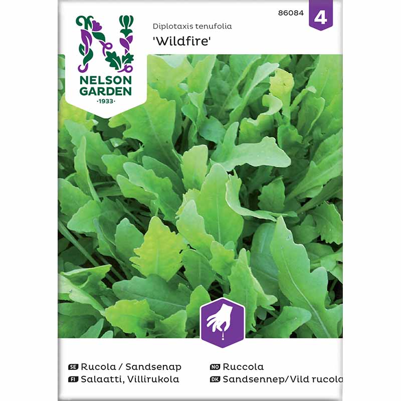 Rucola / Sandsenap 'Wildfire'