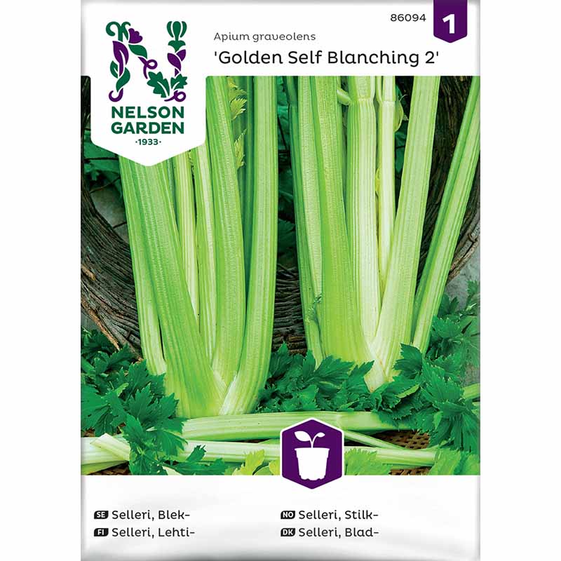 Blekselleri 'Golden Self Blanching 2'
