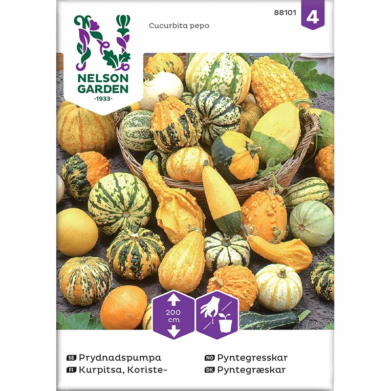 Prydnadspumpa, blandade sorter