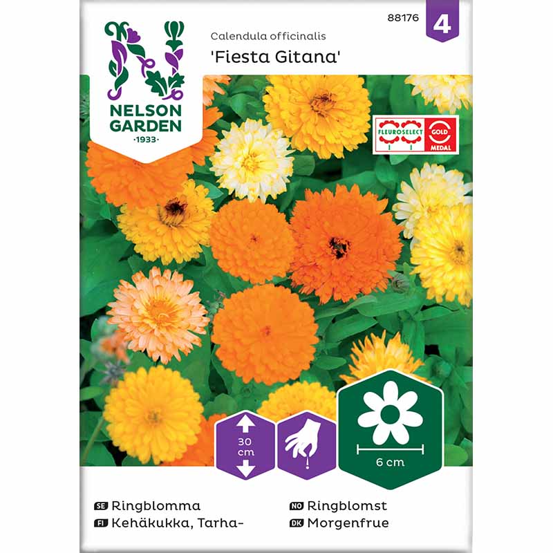 Ringblomma 'Fiesta Gitana'