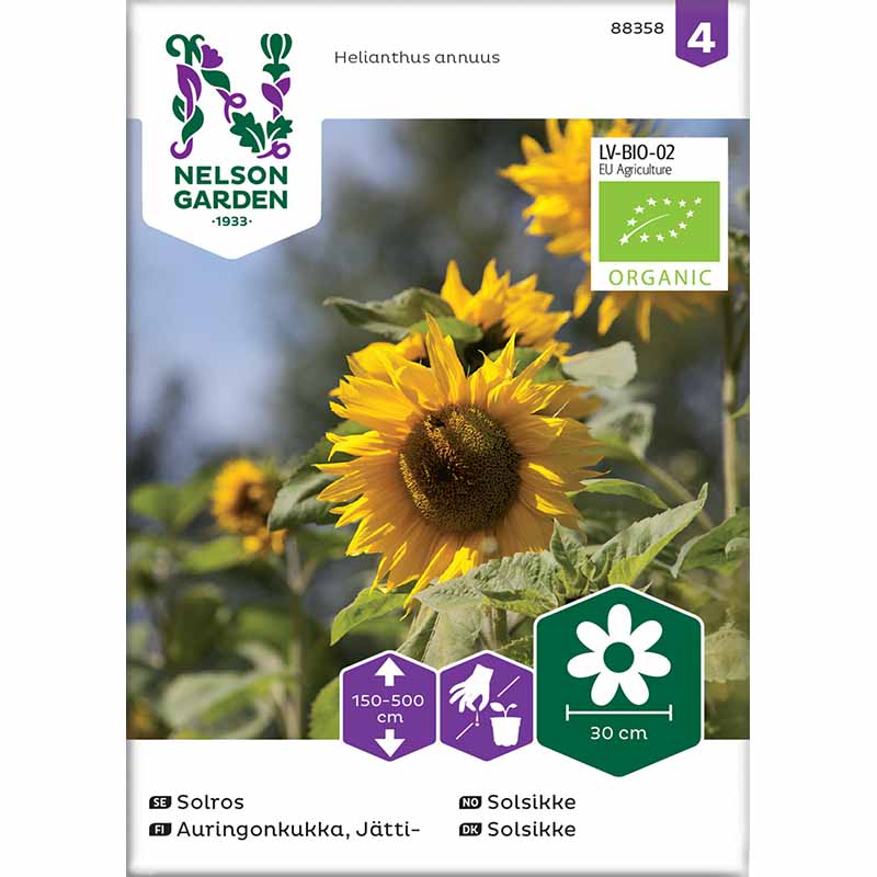 Jättesolros Organic