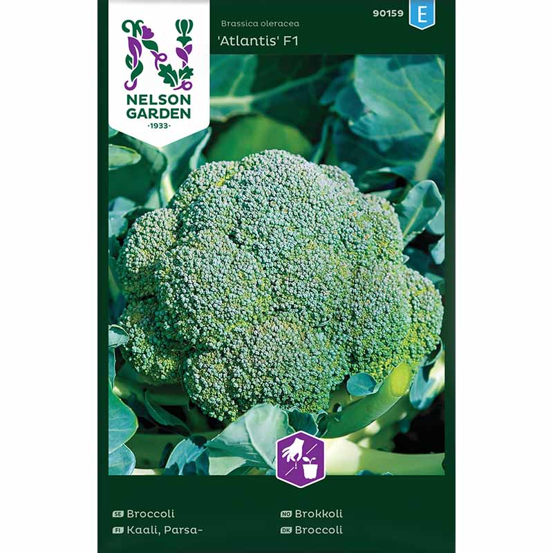 Broccoli 'Atlantis' F1
