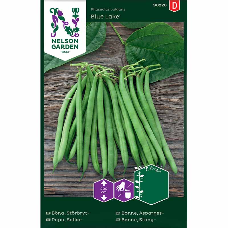 Störbrytböna 'Blue Lake'