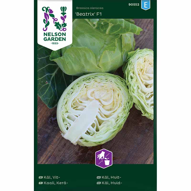 Vitkål 'Beatrix F1'