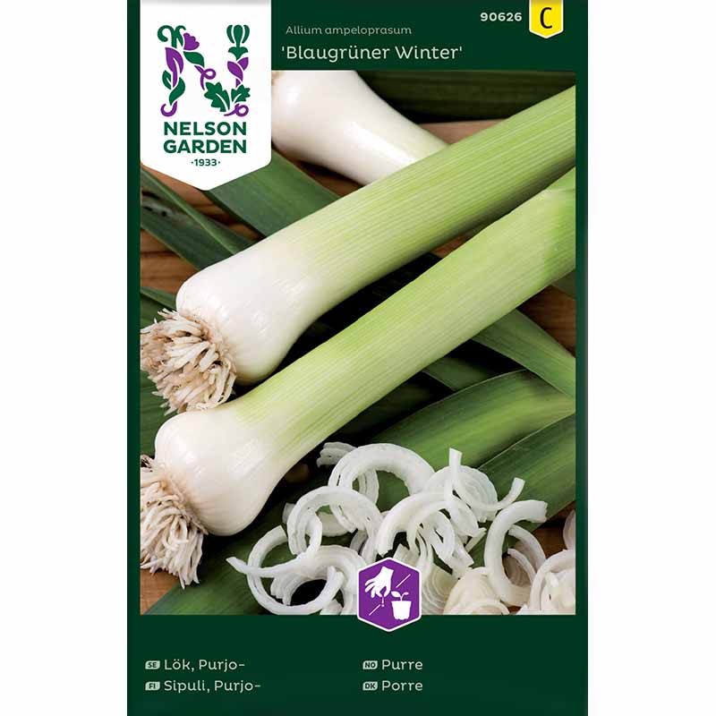 Purjolök 'Blaugrüner Winter'