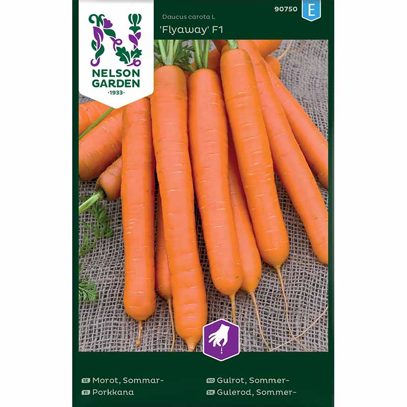 Sommarmorot 'Flyaway F1'