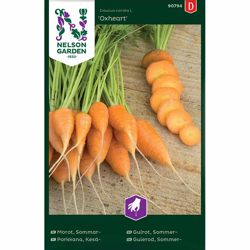 Sommarmorot 'Oxheart'