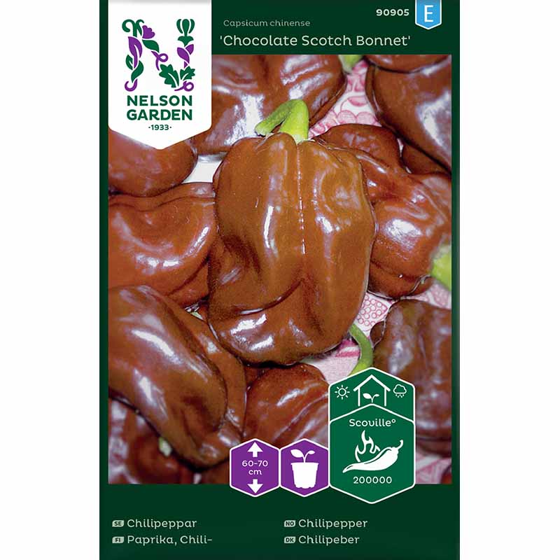 Chilipeppar 'Chocolate Scotch Bonnet'