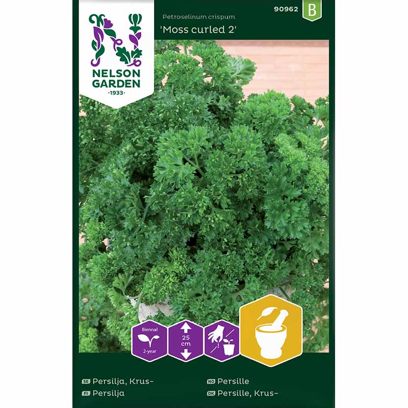 Bladpersilja 'Moss curled 2'