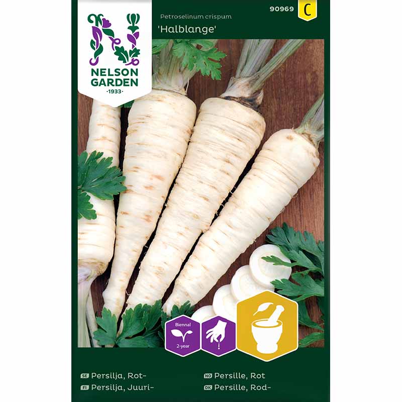 Rotpersilja 'Halblange'