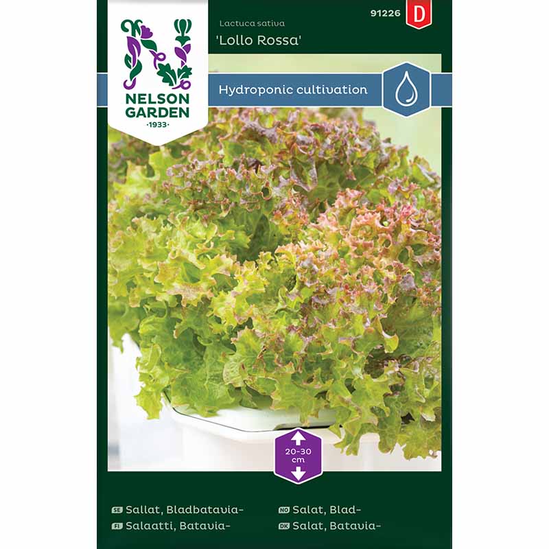 Bladbataviasallat 'Lollo Rossa' - Harvy