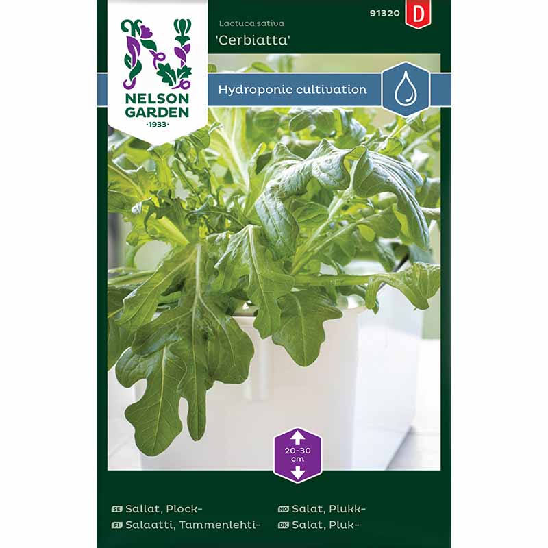 Plocksallat 'Cerbiatta' - Harvy