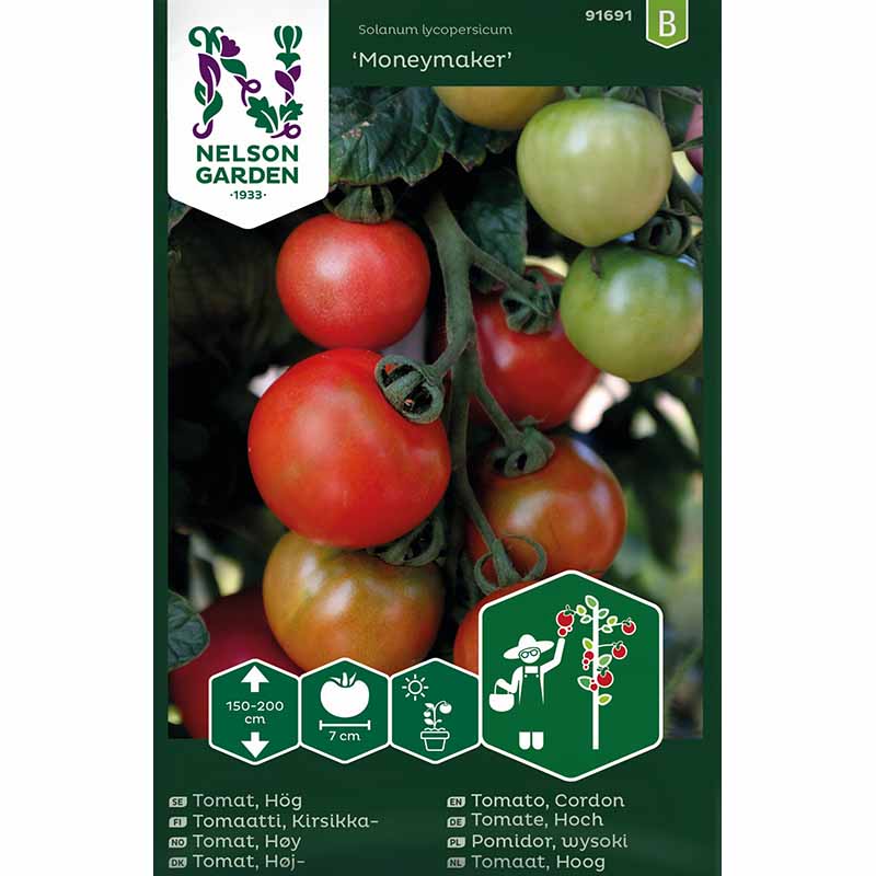 Tomat 'Moneymaker'