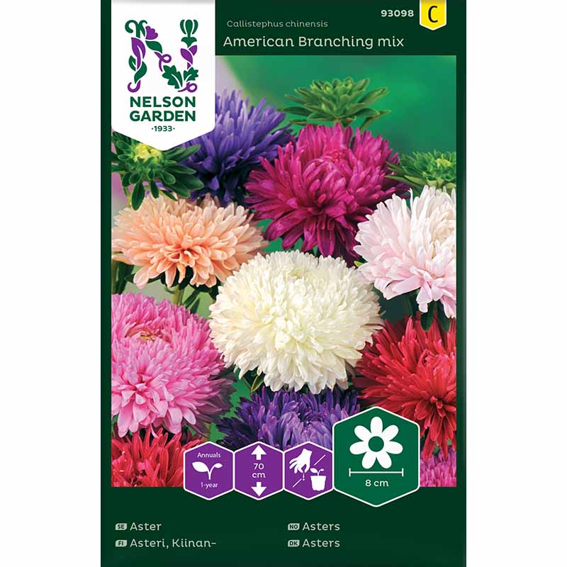 Sommaraster 'American Branching mix'