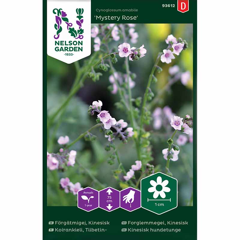 Kinesisk Förgätmigej 'Mystery Rose'
