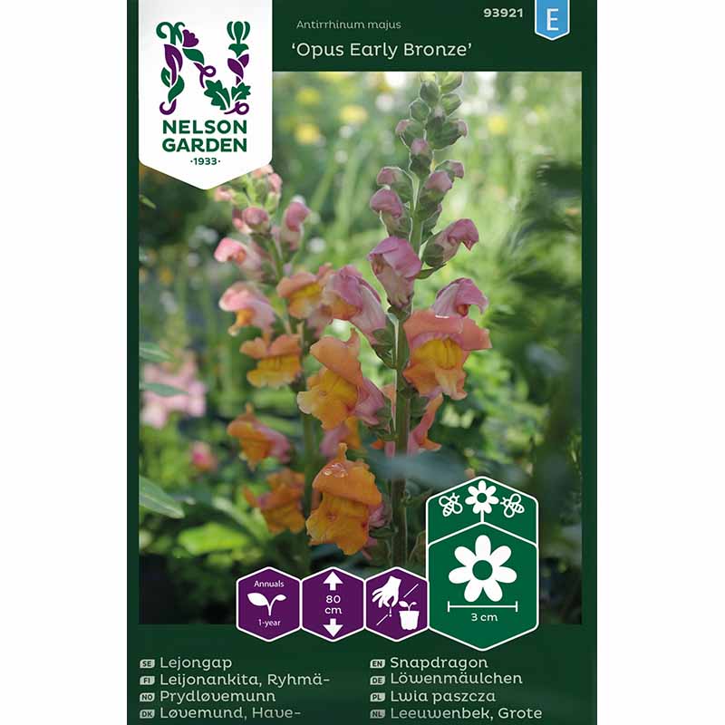 Lejongap 'Opus Early Bronze' F1