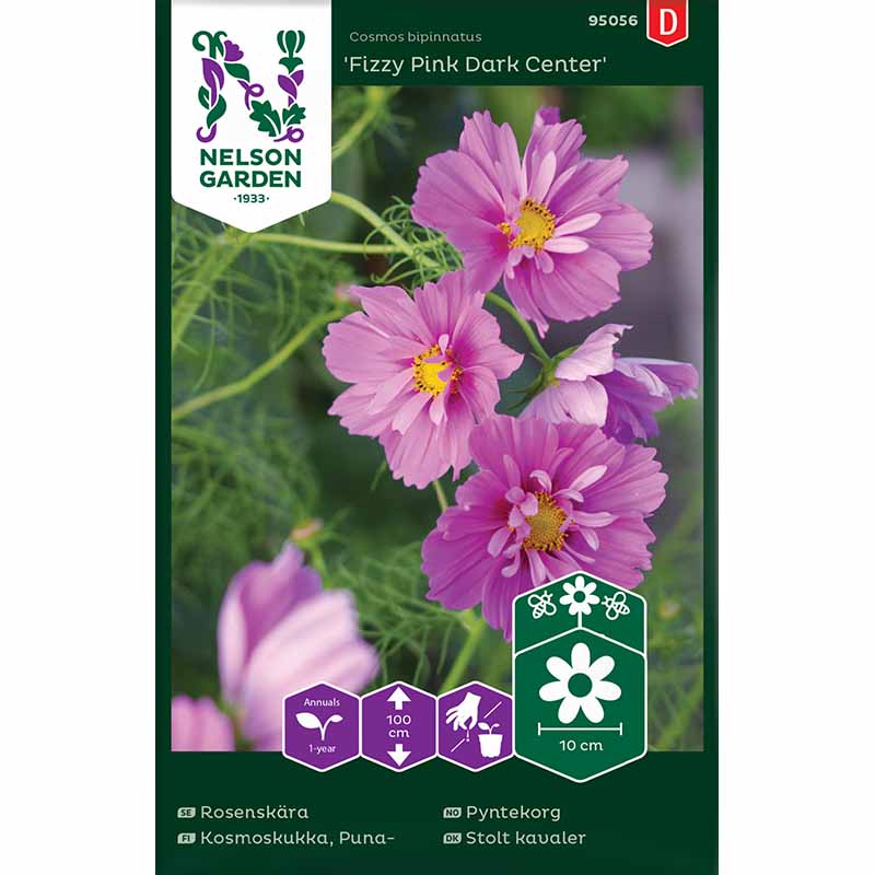 Rosenskära 'Fizzy Pink Dark Center'