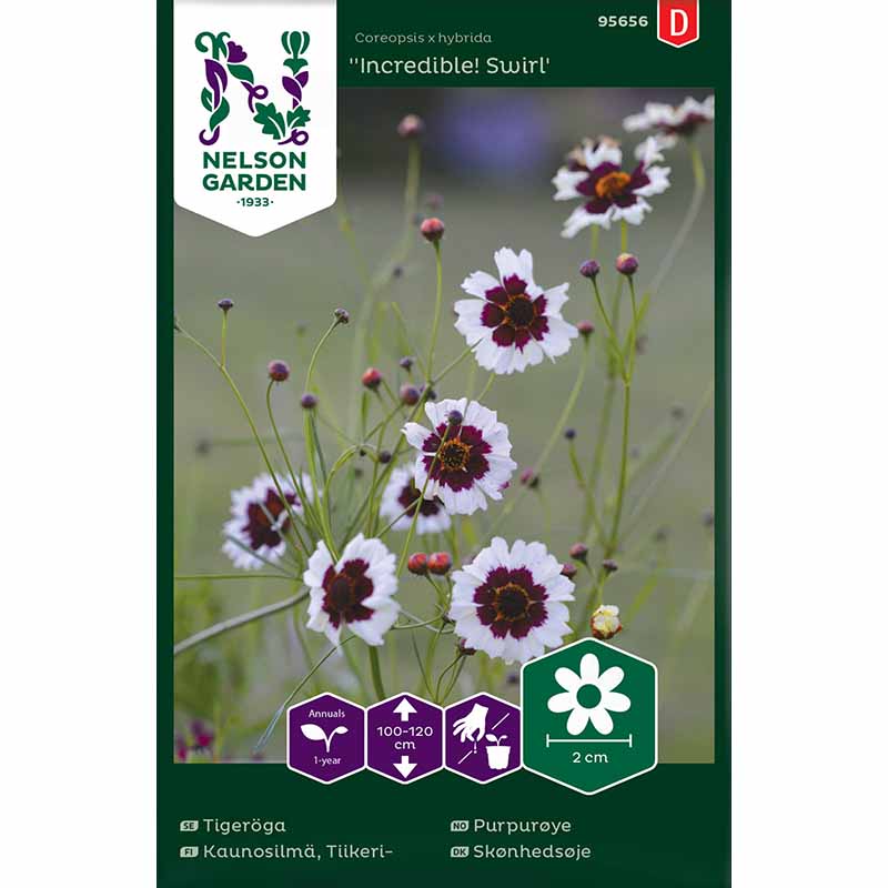 Tigeröga 'Incredible! Swirl'