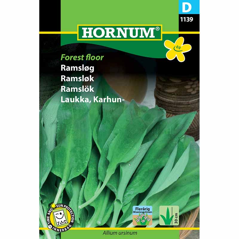 Ramslök 'Forest floor'