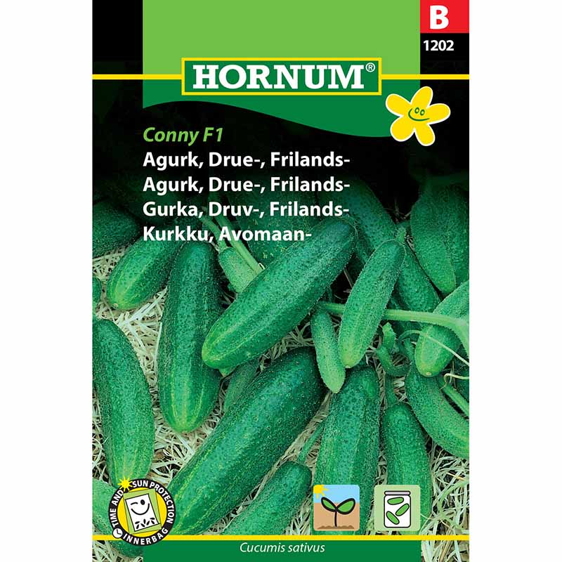 Frilandsgurka 'Libelle' F1