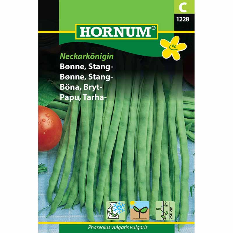 Brytböna 'Neckarkönigin'