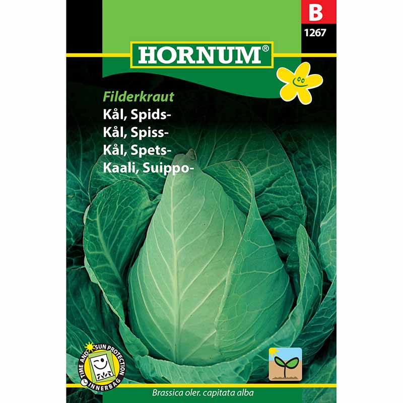 Spetskål 'Filderkraut'