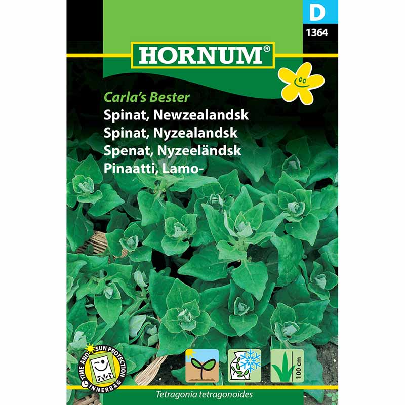 Nyzeeländsk spenat 'Carlas Bester'