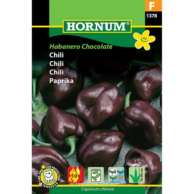 Chili 'Habanero Chocolate'