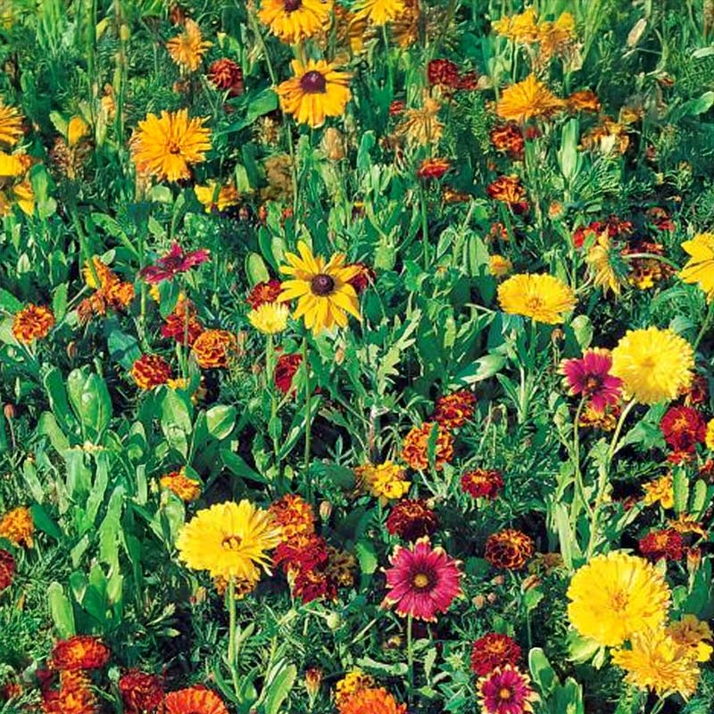 Jordförbättring, blandning