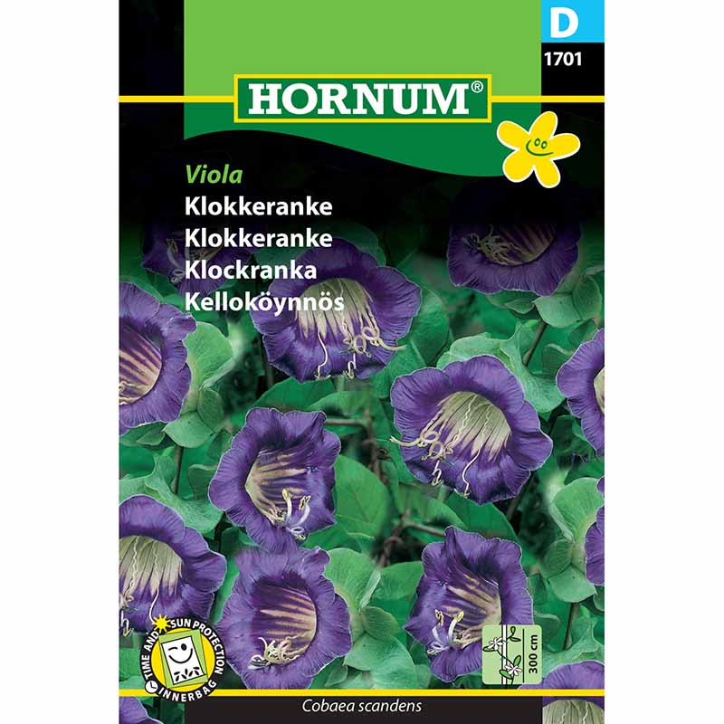 Klockranka 'Viola'