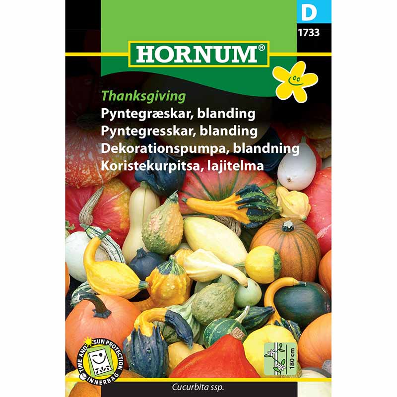 Dekorationspumpa 'Thanksgiving'