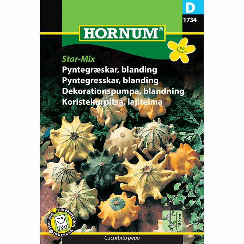 Dekorationspumpa 'Star-Mix'