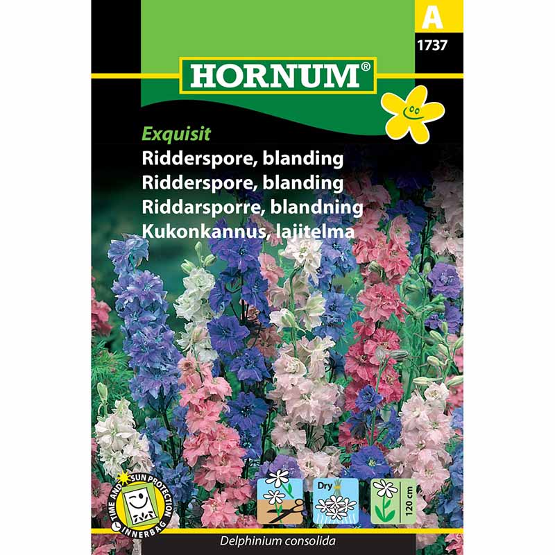 Riddarsporre 'Exquisit'