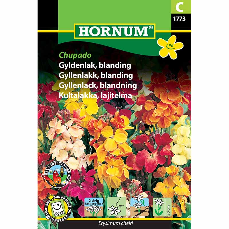 Gyllenlack 'Chupado'