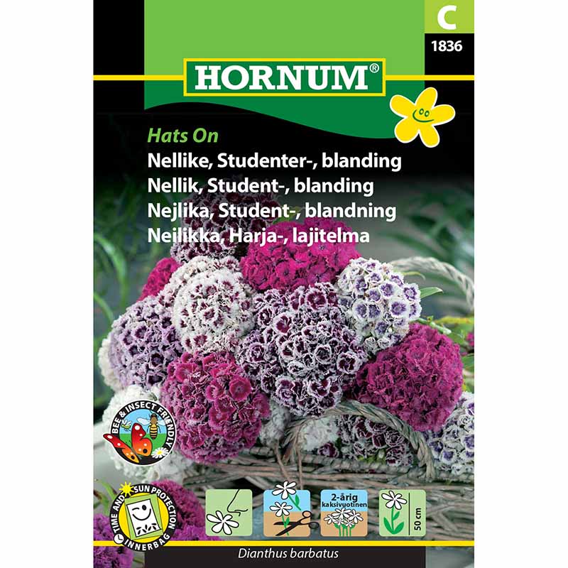 Studentnejlika 'Hats On'