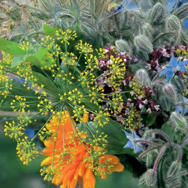 Biört och blom blandning