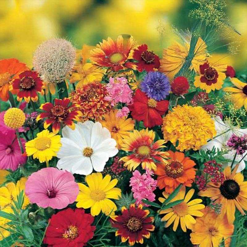 Sensommarnektar blandning