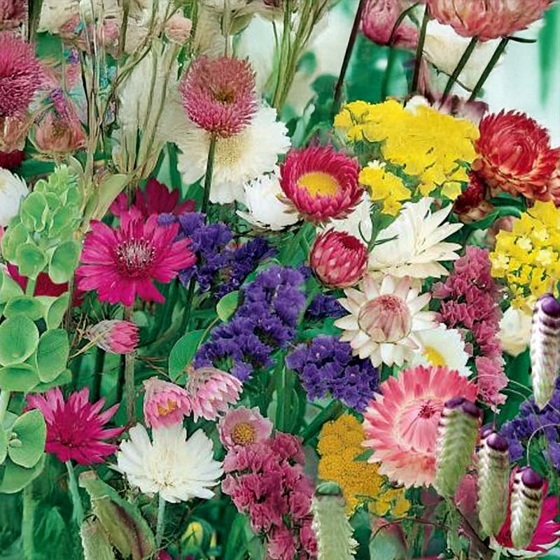 Torkade blommor blandning