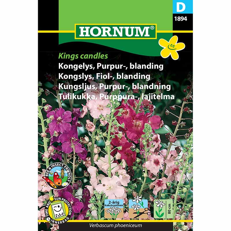 Purpurkungsljus 'Kings candles'