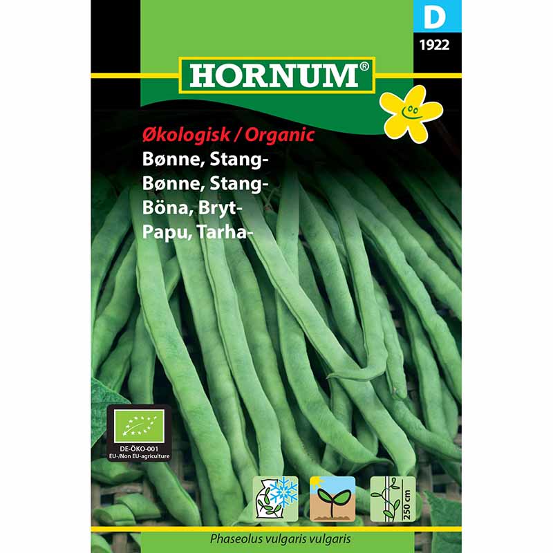 Brytböna 'Neckarkönigin'