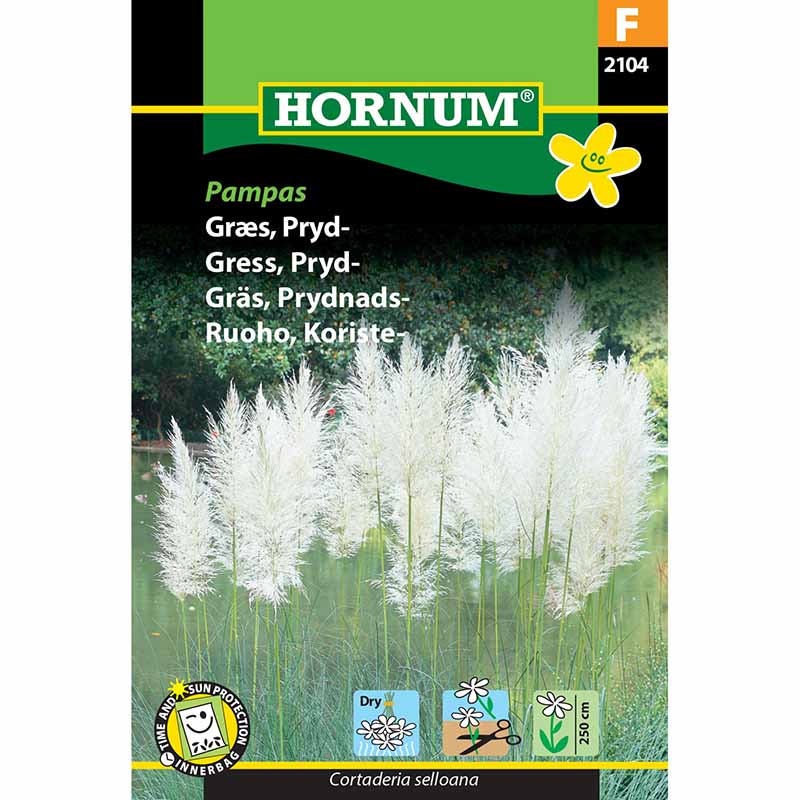 Pampasgräs
