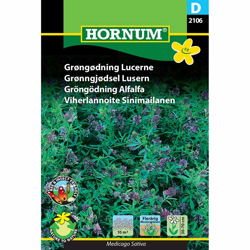 Gröngödning Alfalfa